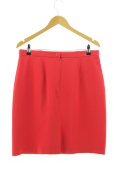 Jupe 46 Pilar Rueda (INDUYCO)