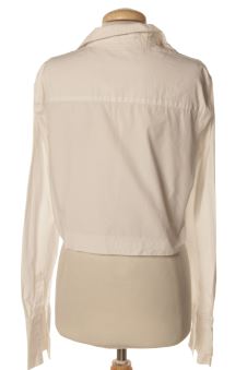 Chemise L trf (ZARA)