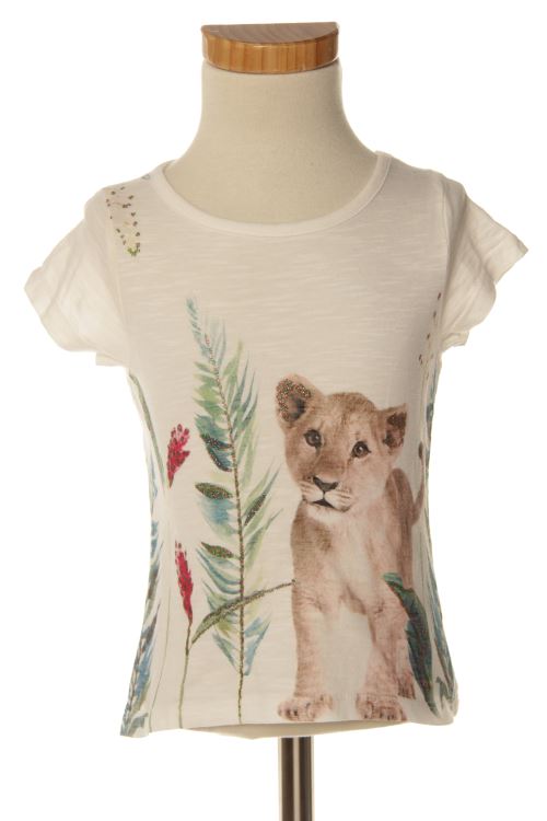 Camiseta