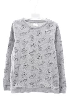 Sweatshirt 6 ans Palomino (C&A)