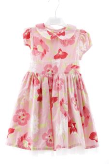 Robe 2 ans PERCENTIL
