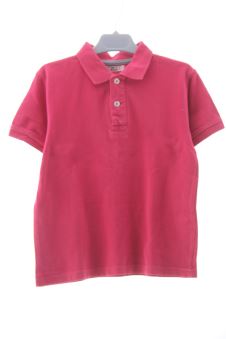 Polo  6 ans BTS Brotes