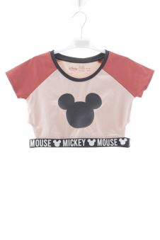 Camiseta 15 años Disney