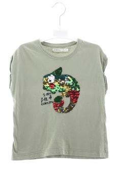 Camiseta 4 años Sfera