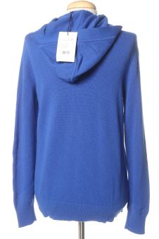 Maglione S Theory
