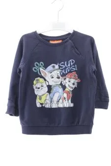 Sudadera 18 meses Nickelodeon
