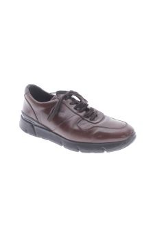 Trotters