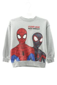 Sweatshirt 110 Marvel