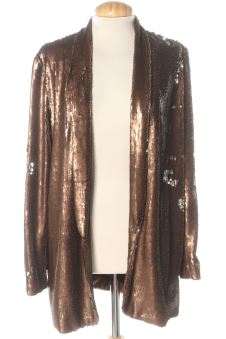 Blazer S Zara