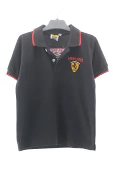 Polo 10 años Ferrari