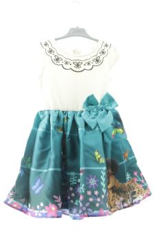 Aufwändiges Kleid 116 Disney (H&M)