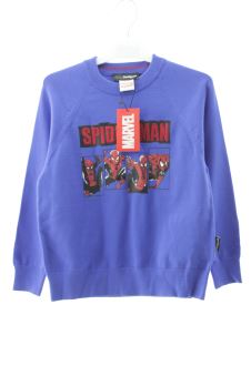 Pullover 122 Desigual