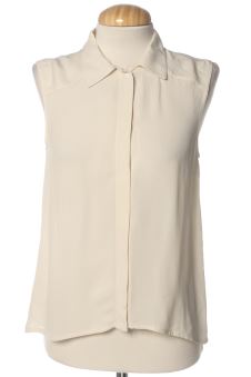 Camicia S Theory