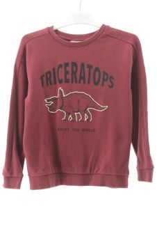 Sudadera 8 años Mango