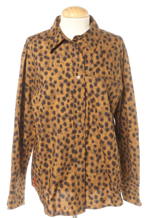 Camicia