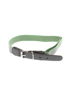 Cinturón 2-4 años PERCENTIL