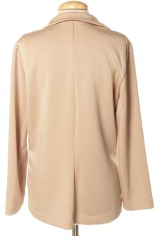 Blazer S Encuentro