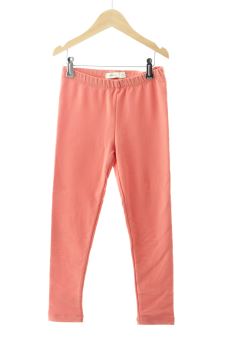 Hose 122 Sfera