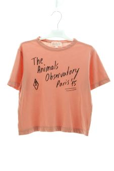 T-shirt 6 ans THE ANIMALS OBSERVATORY