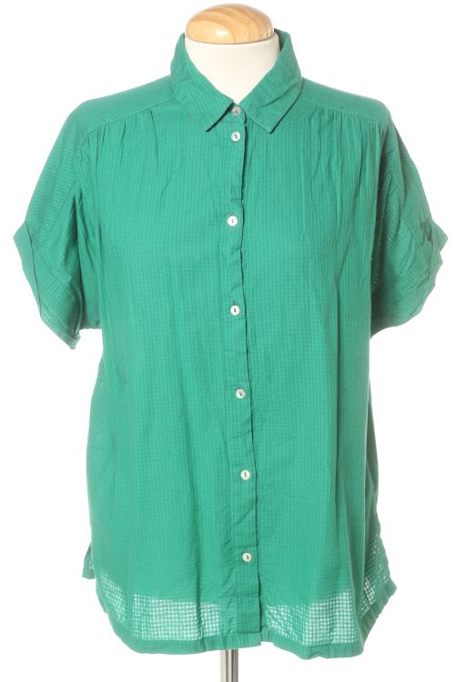 Camisa