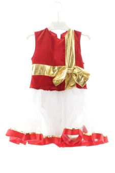 Faschingskostüm 110 IEFIEL