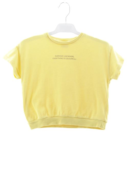 Camiseta