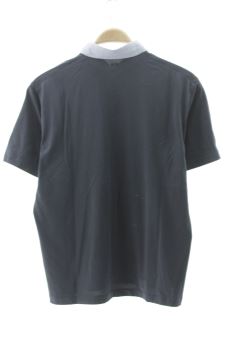 Polo M Uniqlo