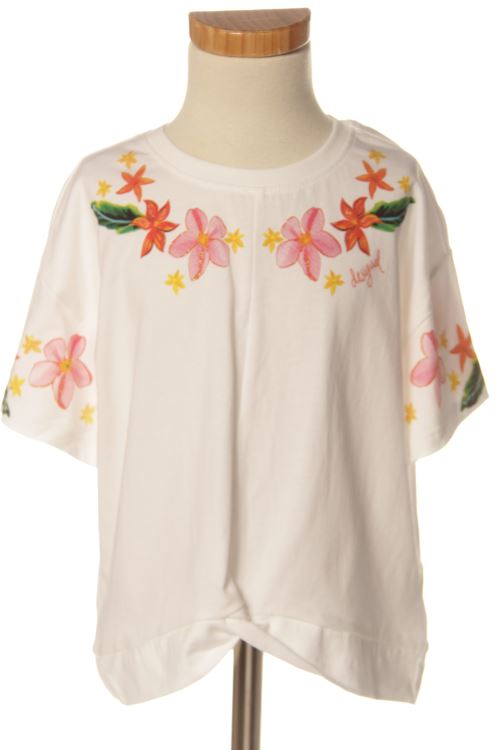 Camiseta